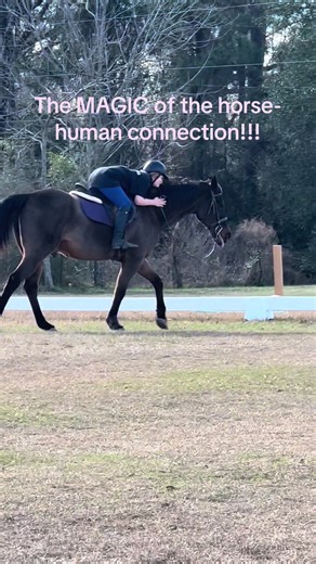 The Magic of Horse-Human Connection
