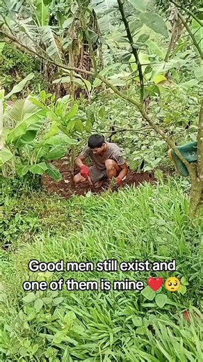 The Joy of Vegetable Gardening: Growing Your Own Food