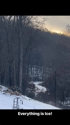 Beautiful but costly 😞 | Emily F Thompson