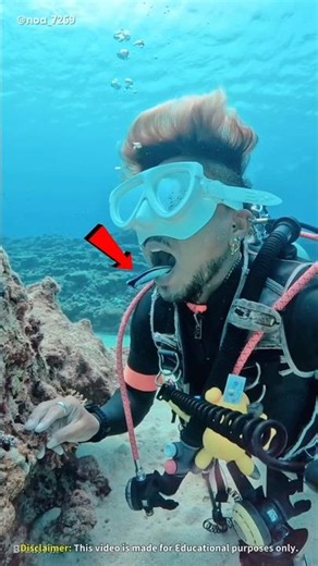 The amazing work of small fish! 🐟