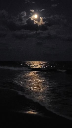Full Moon Beach Night Videos