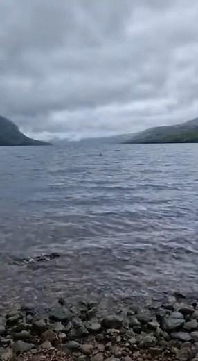 184K views · 2.2K reactions | POV: You caught a mysterious creature! | World Uncharted | Facebook