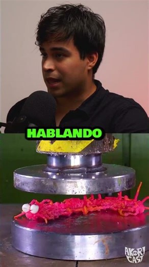 Raptorgamer is the BEST COMPA