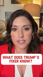 In a shocking interview, Trump’s former fixer Michael Cohen admits he didn’t just make calls before the 2016 election, he dispatched a private investigator to track down an anonymous Jane Doe who claimed Trump raped her in connection with Epstein. Watch the full video at the LINK in BIO. | Tara Palmeri