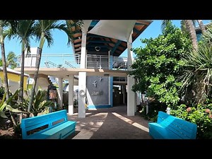 Venice Fishing Pier, Sharky's Venice Florida (4K)