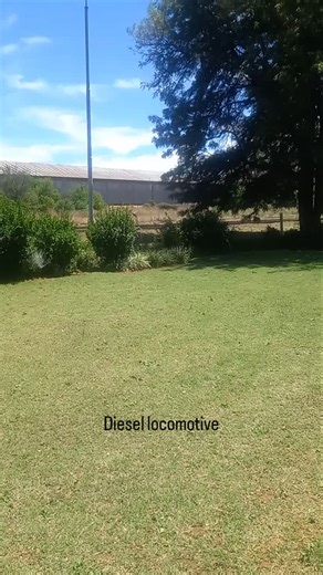 Five Diesel locomotives passed Kameel. Locomotives spotters 34-456, 34-463, 34-496, 34-437 and 34-037. Love the second vintage locomotive. #diesellocomotive #kameelhuisetussenspore #KameelZA #Noordwes 2 November 2024 | Kameel Huise Tussen Spore