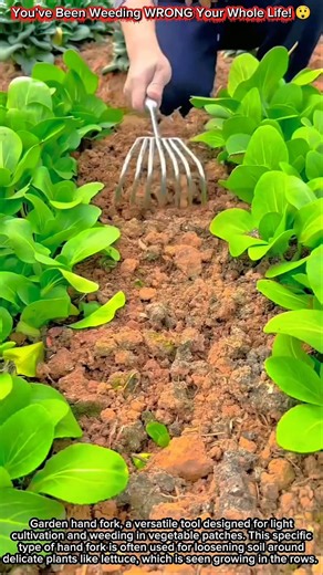 You’ve Been Weeding WRONG Your Whole Life! 😲