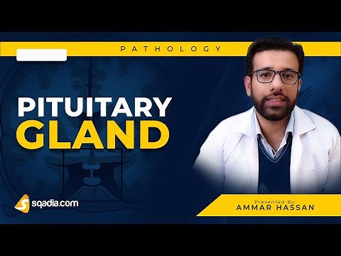 Pituitary Gland | 5. Posterior Pituitary Disorders | Pathology Video Lecture | V-Learning