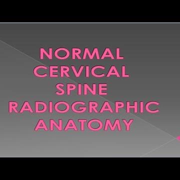 Normal cervical spine radiographic anatomy