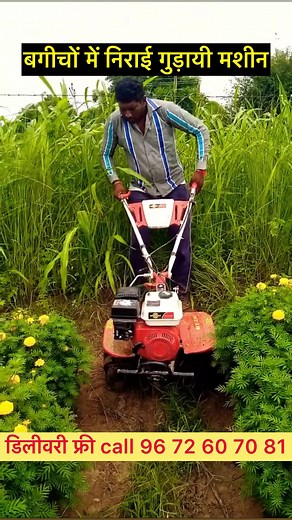 15 reactions | American Bulls - Agri Power Tools on Reels | Facebook