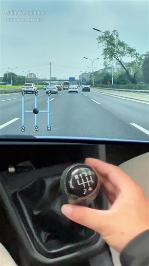 Essential Tips for Novice Drivers