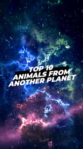 10 Animals That Look from Another Planet! Discover 10 extraordinary creatures that defy belief! From the depths of the ocean to the highest peaks, these animals have evolved into bizarre and beautiful forms. Prepare to be amazed by their otherworldly appearance and unique adaptations. #UniqueCreatures #StrangeAnimals #Cuteanimals #wildlife #Top10 | 1 Minute Animals