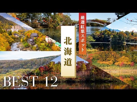 12 Stunning Spots to See Autumn Leaves in Hokkaido | Autumn Travel Full of Natural Beauty