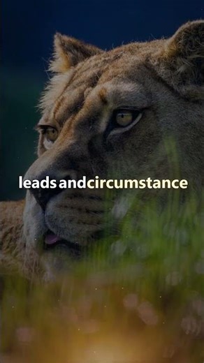 Character Travels With You | Seneca Quotes