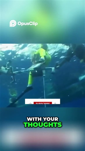 Extreme Diving Triumph and Tragedy in Sports History