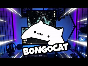 How to get OBS cat in OBs Studio!