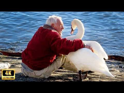 When Animals and Humans Make Life Truly Beautiful 😍