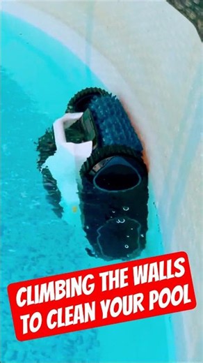 Basket Size & Auto Park Pool Cleaner Must Haves!
