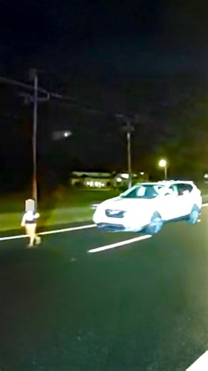 740K views · 5.5K reactions | Hero officer jumps out car to save disabled kid on busy road  | Newsner.com | Facebook