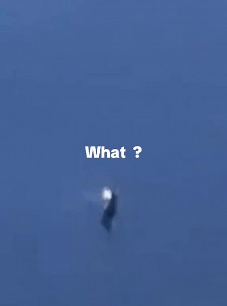 Unbelievable Scary Alien Walk Scenes