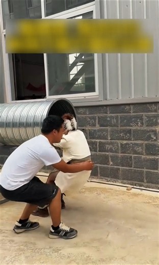 HOW STRONG? 😲 the test reveals everything #shorts #skills #crafts #engineering #technology