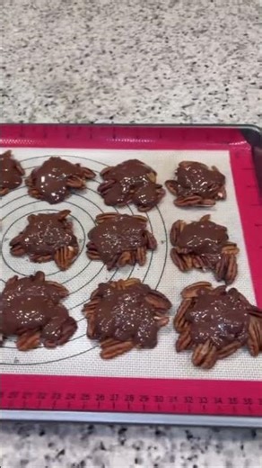 Homemade Turtles