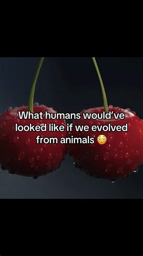 What If Humans Evolved from Cats?