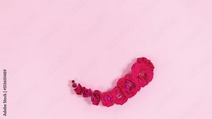 4k Looped motion in a circle of natural red rose buds. More heads of flowers. Copy space in the center. Flat lay. Light pink background. Stop motion animation. Template for text and design.