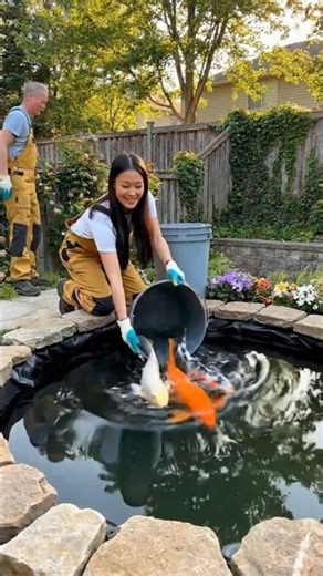 Turning Old Tires Into a Stunning Backyard Koi Pond