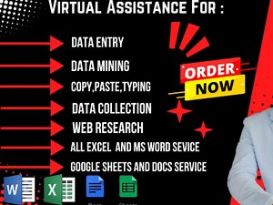 Data entry, data Scraping, data collection,b2b lead ,Data Cleaning and More