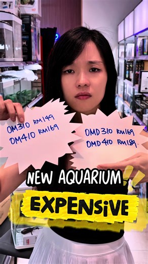 Setting Up Your New Aquarium: Beginners Guide