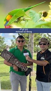 6.3M views · 270K reactions | मनै छुने दृश्य, क्यामेराबाटै देश चिनाउछु Beautiful Photo, Saroj Panta #australia #photo #photography #beauty #nature #saralgurung #sarojpanta #nepaltube #camera | Nepal Tube Australia | Facebook