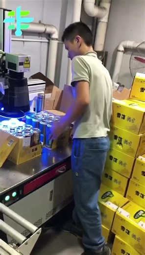 Vision-Guided Laser Marking System | Camera Locates → Laser Marks | OEM Available