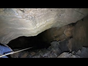 Deep Mystery Holes In The Forest