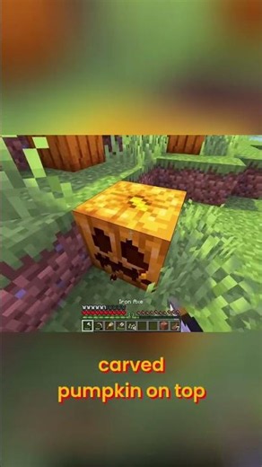 LDShadowLady: Minecraft Copper Secret: Crafting a Surprise Shipmate! #shorts