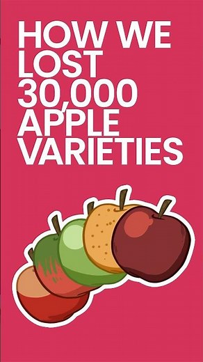 How We Lost 30,000 Apple Varieties