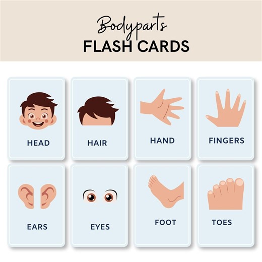 Body Parts Flashcards for Kids, Human Anatomy Learning Cards (PDF Download) - Etsy Australia