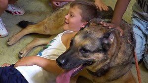 Pottsville church hosts dog-friendly camp