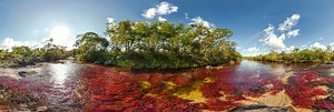 Caño Cristales (Colombia): the most beautiful river 360 Panorama | 360Cities