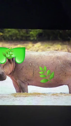 @Fluvsies poop @Kem lì poop