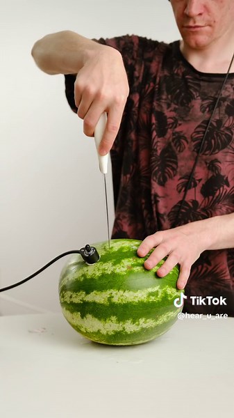 🤔Ever wondered what a watermelon sounds like up close? 🍉🔊 Using a contact microphone and my trusty Sound Devices MixPre-6 recorder, I captured the unique and surprising sounds hidden inside this juicy fruit! 🎧✨ Check out the reel to hear the unexpected melodies of a watermelon. 🎥 @EDVVANCE #SoundExperiment #WatermelonSounds #ContactMicrophone #MixPre6 #SoundDevices #FieldRecording #SoundDesign #ASMR #FoleyArt #Soundscape #AudioEngineering #CreativeRecording #UnusualSounds