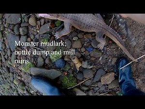 A bottle dump + Mill ruins; mudlarking adventure, river treasure hunting.