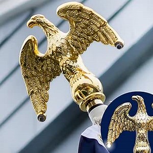 Solar Eagle Flagpole Light LED | Fits 1' Pole | Solar Powered Flag Pole Topper | High Gloss Gold