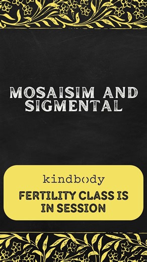 Kindbody on Instagram: "Mosaicism? Segmental? @roohijeelanimd and Manuel Viotti break down what these terms mean in IVF and how they impact next steps."
