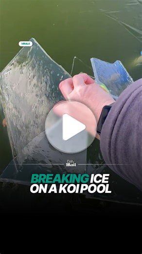 Oddly satisfying 🥶 | Daily Mail Video