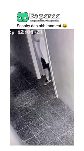 the laugh spot on Instagram: "This video is a classic example of a "Scooby-Doo moment"—a term used for those chaotic, cartoonish, and often confusing chase scenes where everything feels a bit surreal. Video Breakdown: The Scenario: The footage is styled like CCTV security video, showing a narrow hallway. A man is walking down the hall when he is suddenly confronted by several people and a very tall, strange figure in white. The "Monster": The tall figure is likely someone on stilts or a clever p