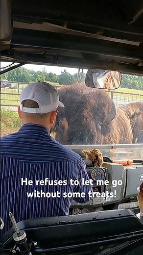 Big Joe putting his foot down!