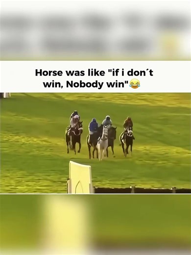 Horse loses jockey mid race and then cuts everyone off and they all fall over!