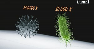 Virus et bactéries : petits mais costauds