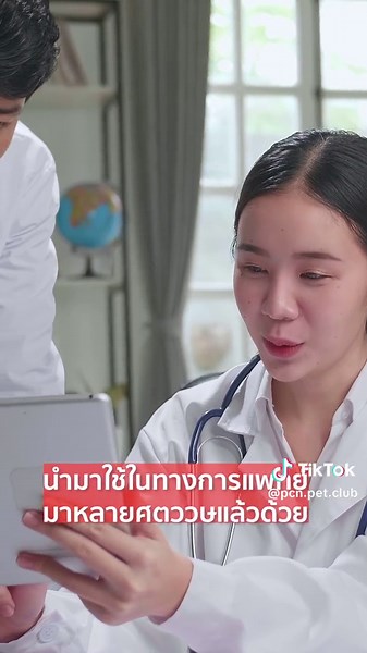 ปลาซิวข้าวสารเมดากะ: ปลาแห่งสันติภาพญี่ปุ่น